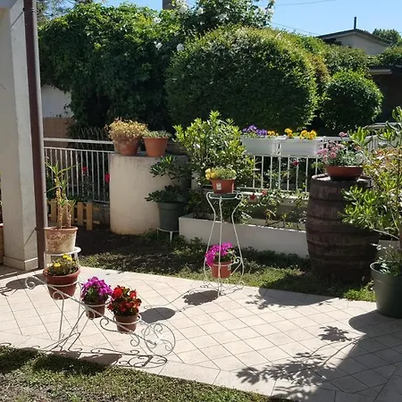 Le Botti Savio di Ravenna